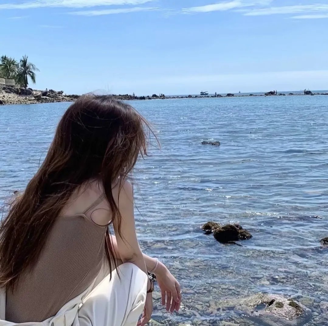 春燕展翅